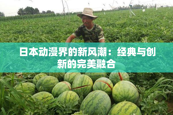 日本动漫界的新风潮：经典与创新的完美融合