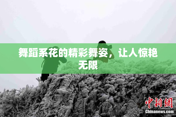 舞蹈系花的精彩舞姿，让人惊艳无限