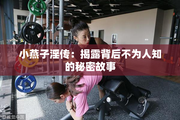 小燕子淫传：揭露背后不为人知的秘密故事