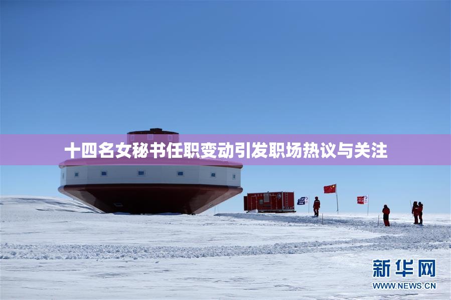 十四名女秘书任职变动引发职场热议与关注