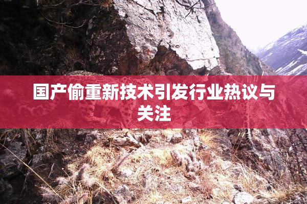 国产偷重新技术引发行业热议与关注