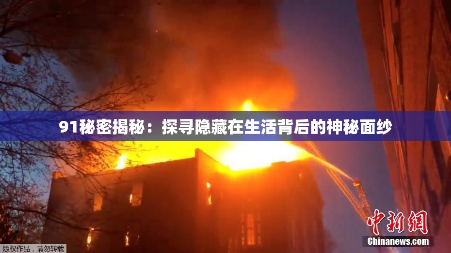 91秘密揭秘：探寻隐藏在生活背后的神秘面纱