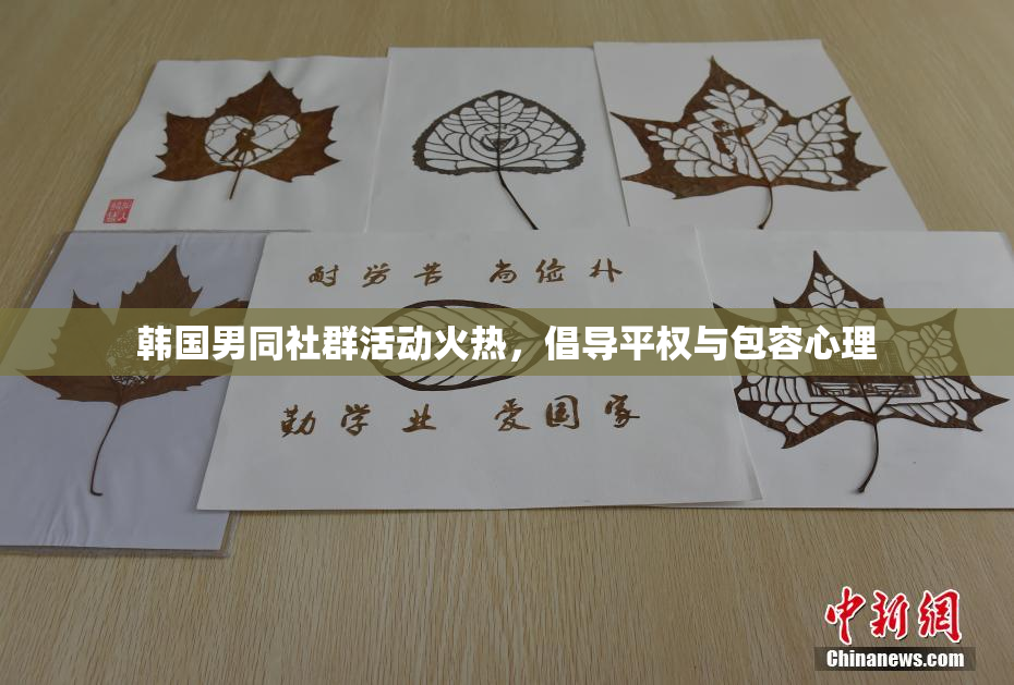 韩国男同社群活动火热，倡导平权与包容心理