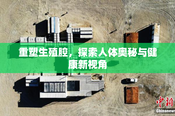 重塑生殖腔，探索人体奥秘与健康新视角