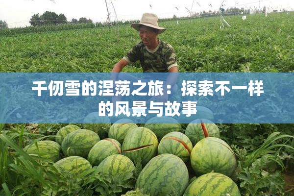 千仞雪的涅荡之旅：探索不一样的风景与故事