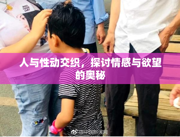 人与性动交织，探讨情感与欲望的奥秘