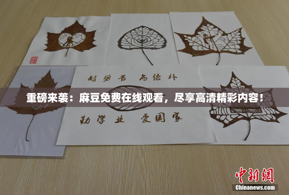 重磅来袭：麻豆免费在线观看，尽享高清精彩内容！