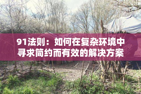 91法则：如何在复杂环境中寻求简约而有效的解决方案