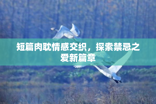 短篇肉耽情感交织，探索禁忌之爱新篇章