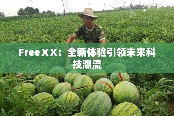 FreeⅩX：全新体验引领未来科技潮流