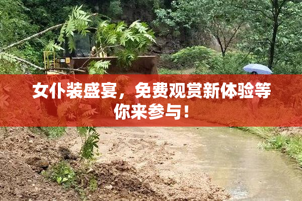 女仆装盛宴，免费观赏新体验等你来参与！