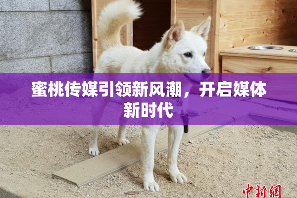蜜桃传媒引领新风潮，开启媒体新时代
