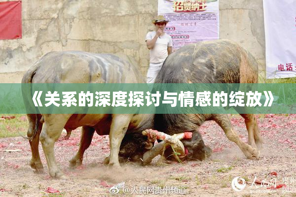 《关系的深度探讨与情感的绽放》