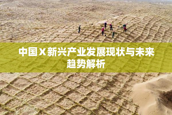 中国Ⅹ新兴产业发展现状与未来趋势解析