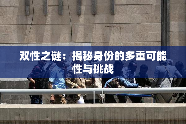 双性之谜：揭秘身份的多重可能性与挑战