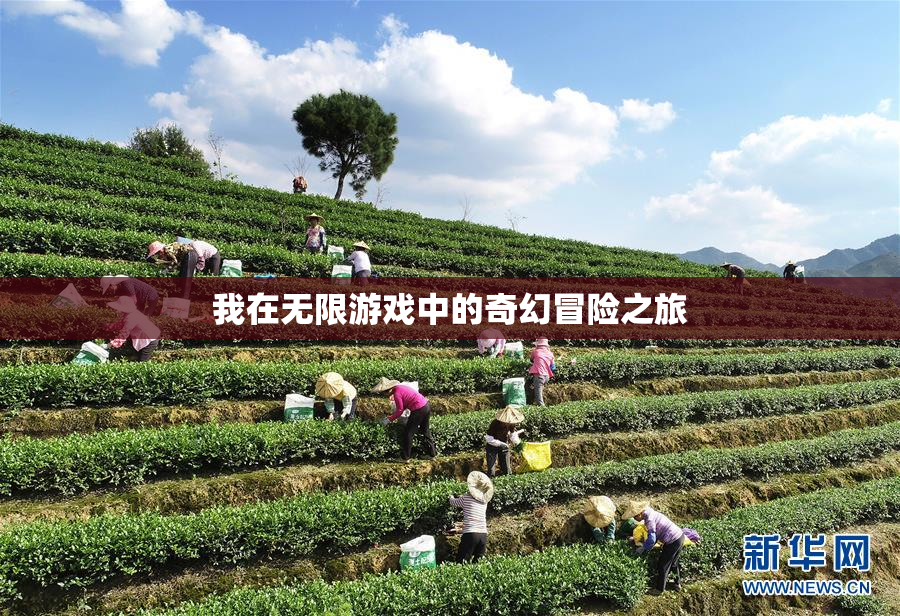 我在无限游戏中的奇幻冒险之旅