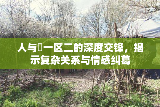 人与嘼一区二的深度交锋，揭示复杂关系与情感纠葛
