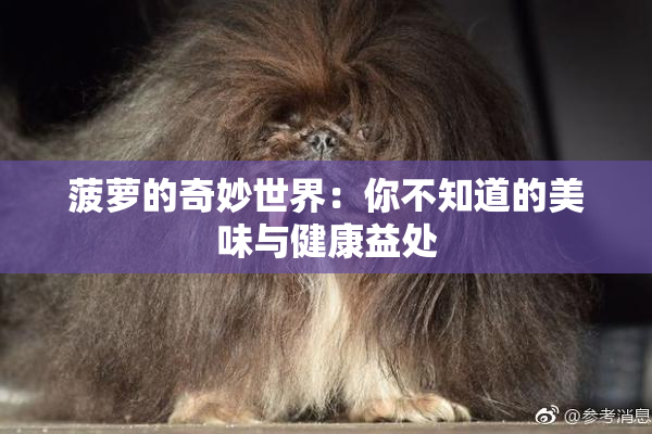 菠萝的奇妙世界：你不知道的美味与健康益处