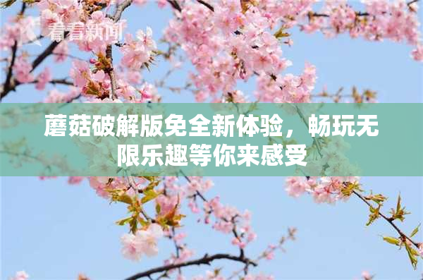 蘑菇破解版免全新体验，畅玩无限乐趣等你来感受