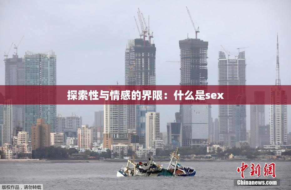 探索性与情感的界限：什么是sex