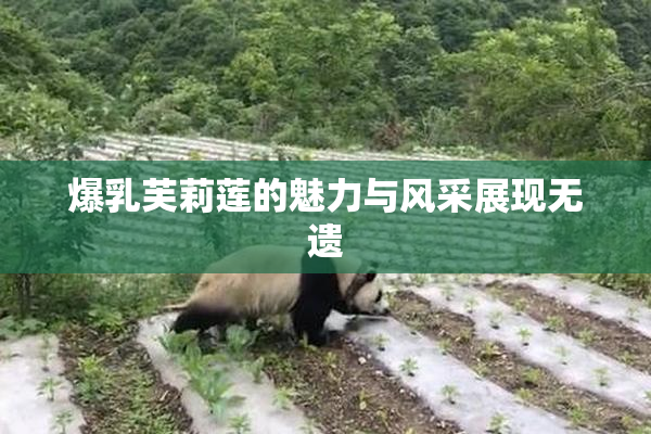 爆乳芙莉莲的魅力与风采展现无遗