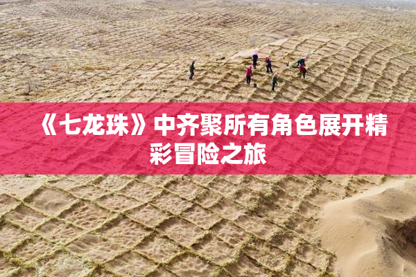 《七龙珠》中齐聚所有角色展开精彩冒险之旅