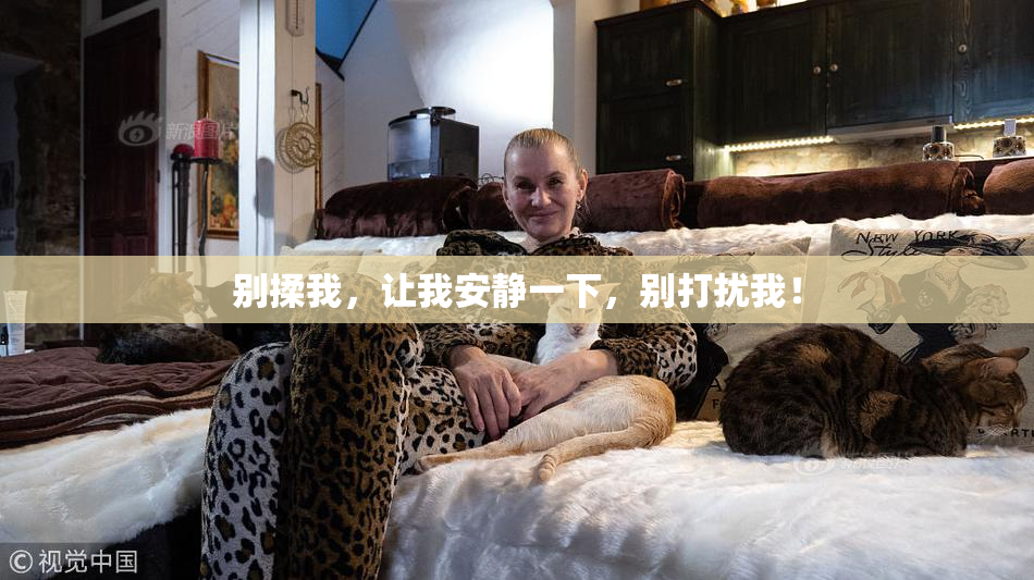 别揉我，让我安静一下，别打扰我！