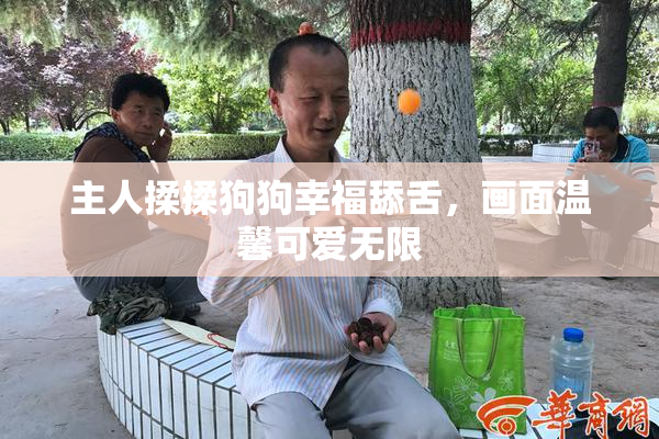 主人揉揉狗狗幸福舔舌，画面温馨可爱无限