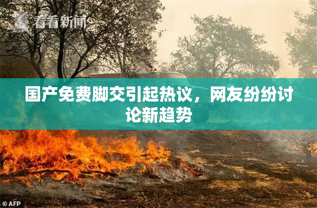 国产免费脚交引起热议，网友纷纷讨论新趋势