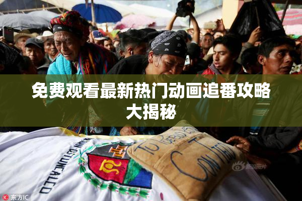免费观看最新热门动画追番攻略大揭秘