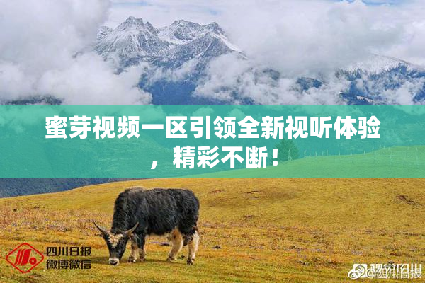 蜜芽视频一区引领全新视听体验，精彩不断！
