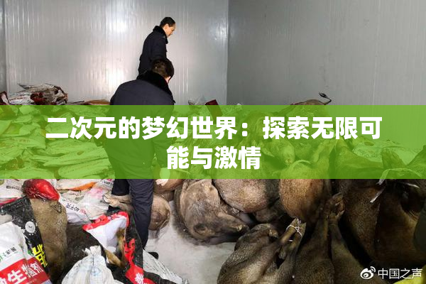 二次元的梦幻世界：探索无限可能与激情