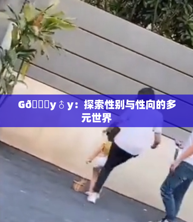 G🈚y♂y：探索性别与性向的多元世界