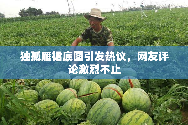独孤雁裙底图引发热议，网友评论激烈不止