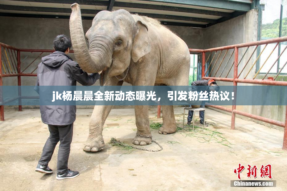 jk杨晨晨全新动态曝光，引发粉丝热议！