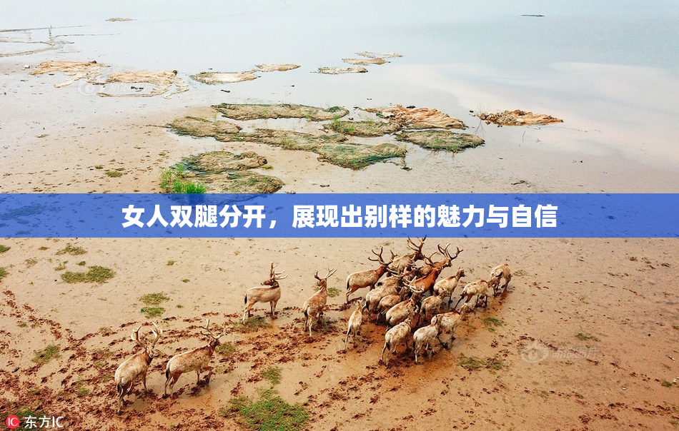 女人双腿分开，展现出别样的魅力与自信