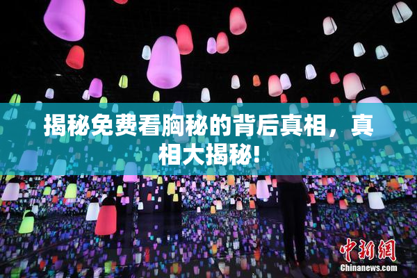 揭秘免费看胸秘的背后真相，真相大揭秘!
