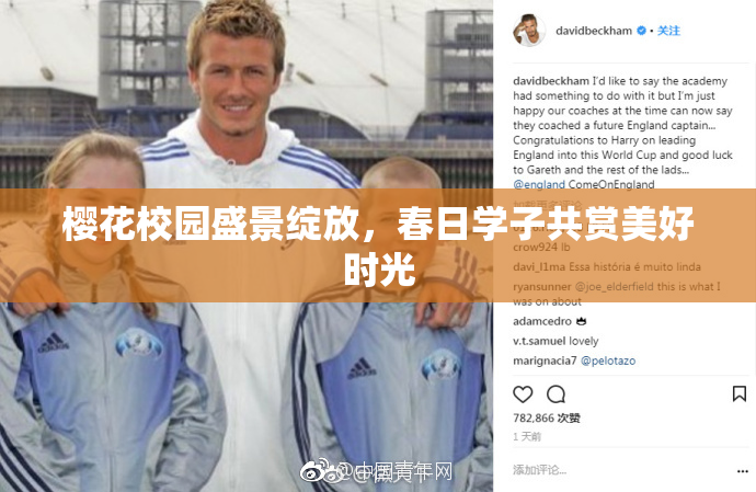 樱花校园盛景绽放，春日学子共赏美好时光
