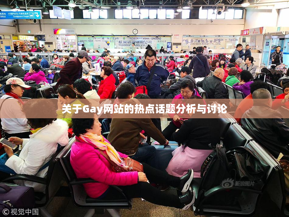 关于Gay网站的热点话题分析与讨论