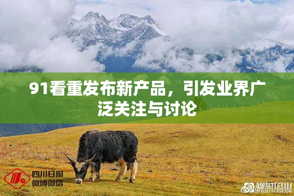 91看重发布新产品，引发业界广泛关注与讨论