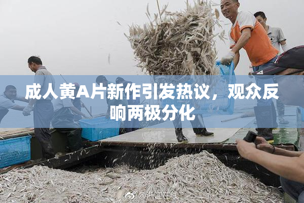 成人黄A片新作引发热议，观众反响两极分化