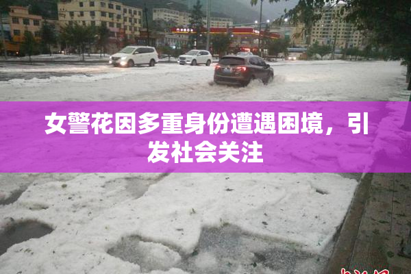 女警花因多重身份遭遇困境，引发社会关注