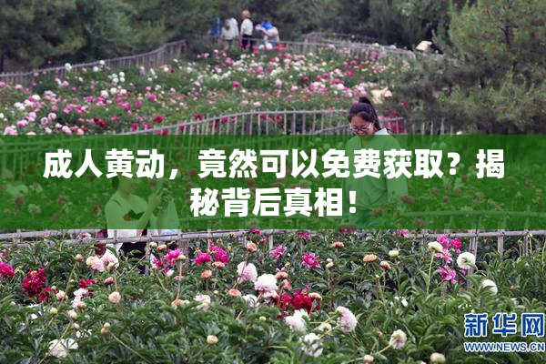 成人黄动，竟然可以免费获取？揭秘背后真相！