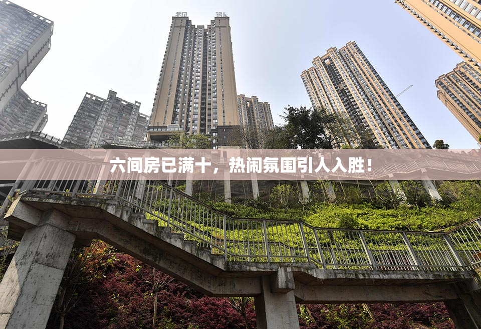 六间房已满十，热闹氛围引人入胜！