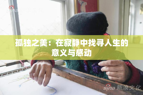 孤独之美：在寂静中找寻人生的意义与感动