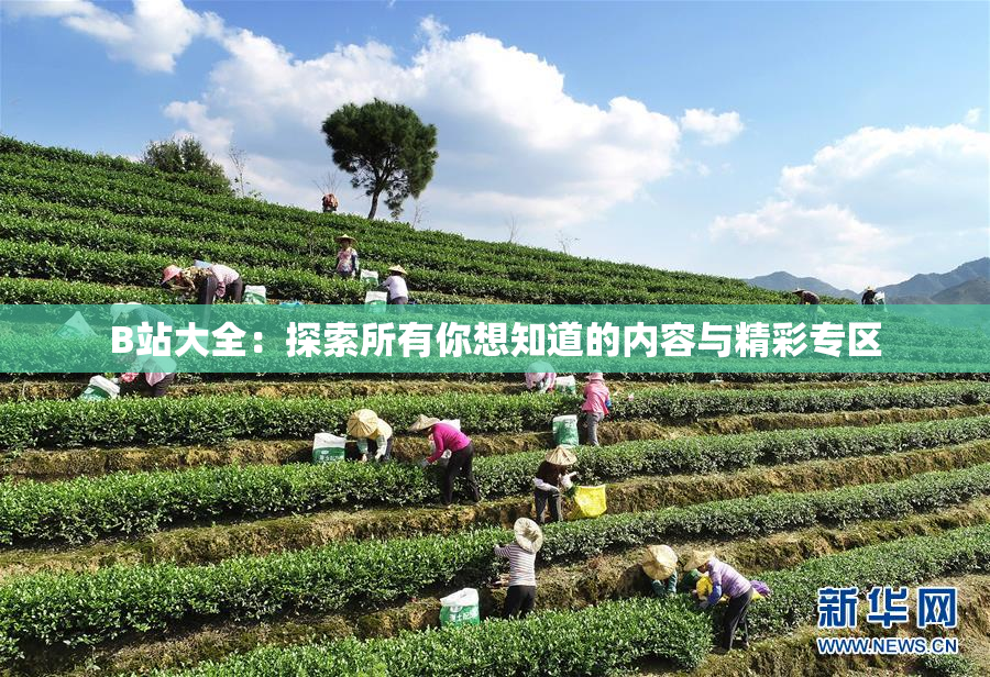 B站大全：探索所有你想知道的内容与精彩专区