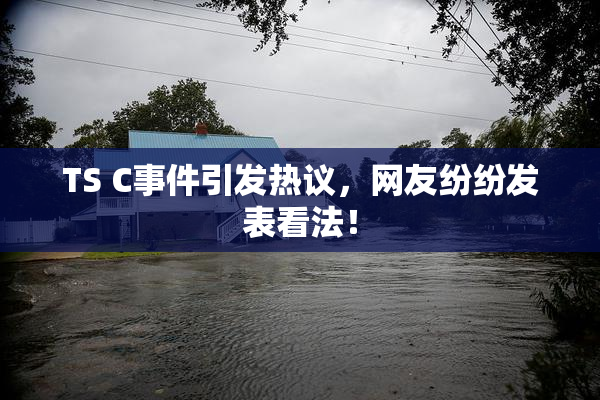 TS C事件引发热议，网友纷纷发表看法！