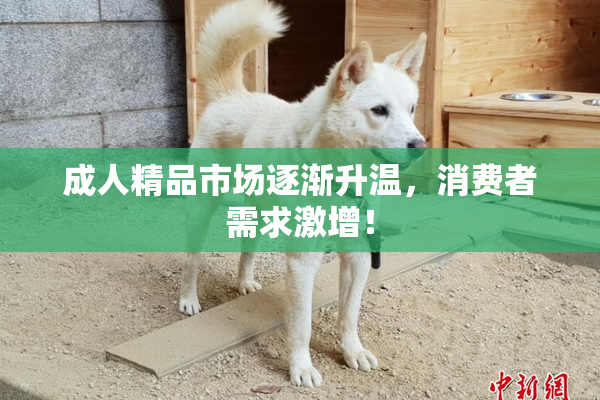 成人精品市场逐渐升温，消费者需求激增！