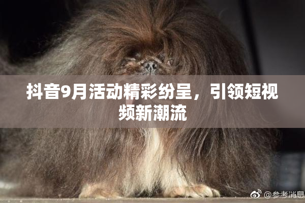 抖音9月活动精彩纷呈，引领短视频新潮流