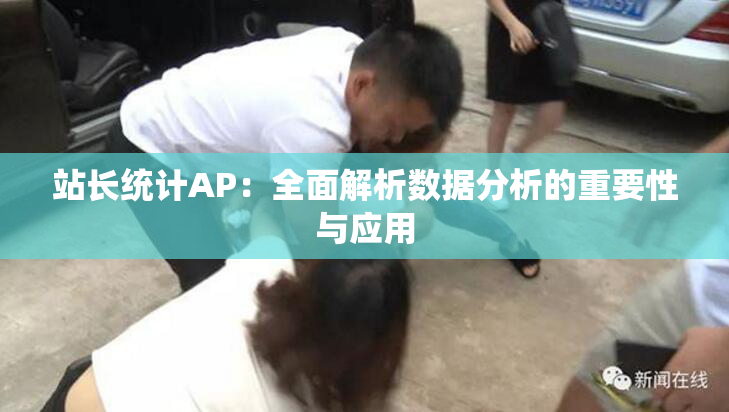 站长统计AP：全面解析数据分析的重要性与应用